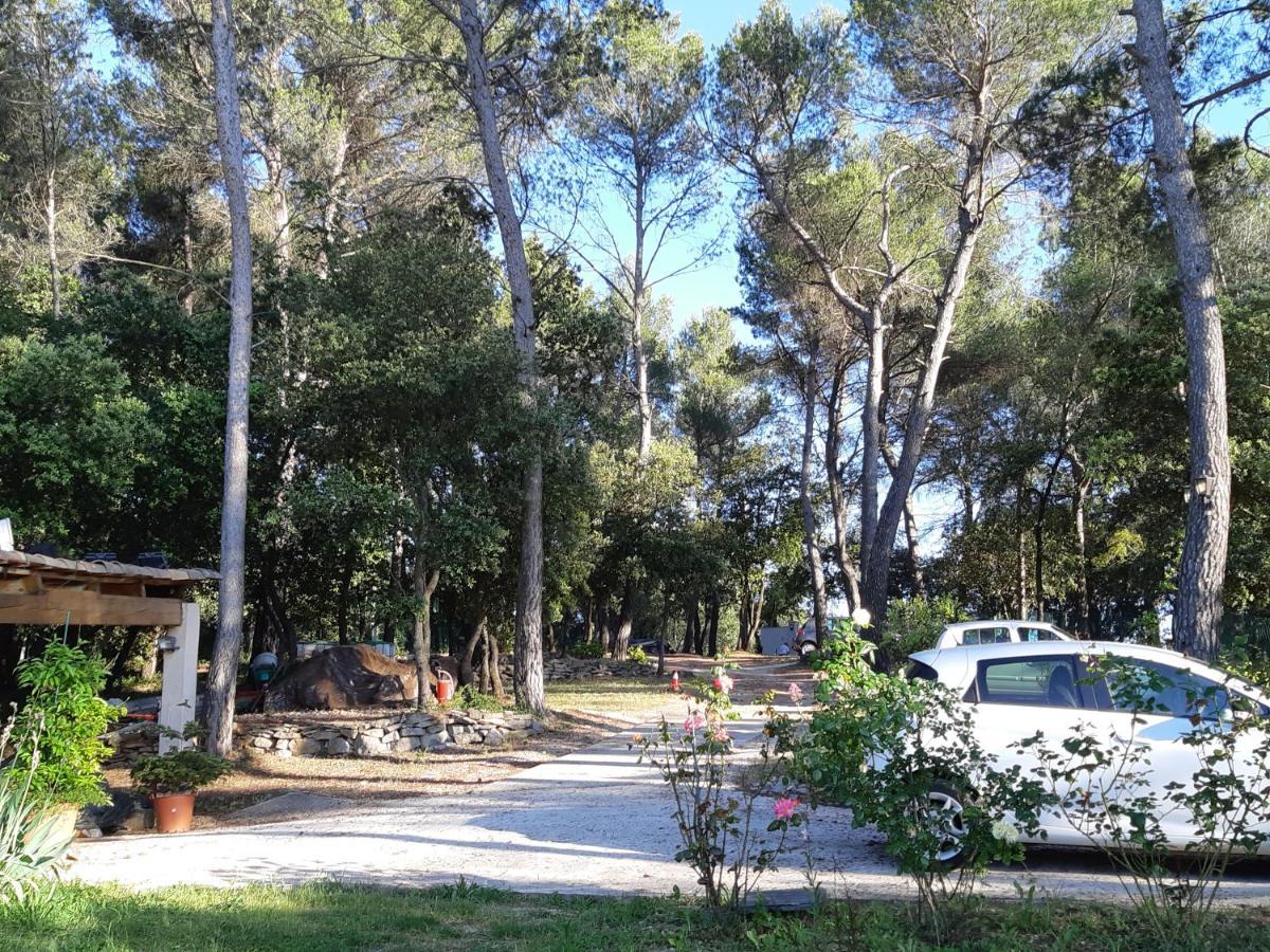 Villa La Licorne Piscine Privee, Jacuzzi, Massages, Tennis, Golf A 9Km Belcodene Buitenkant foto
